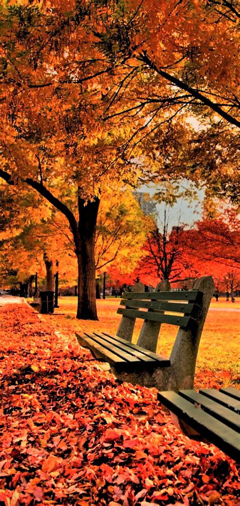 autumn phone wallpaper hd|autumn wallpaper for kindle fire.